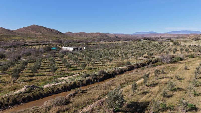0 Bedroom Property for Sale in Ladismith Western Cape